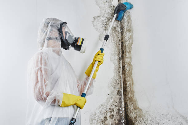 Water Damage Restoration in New Franklin, OH